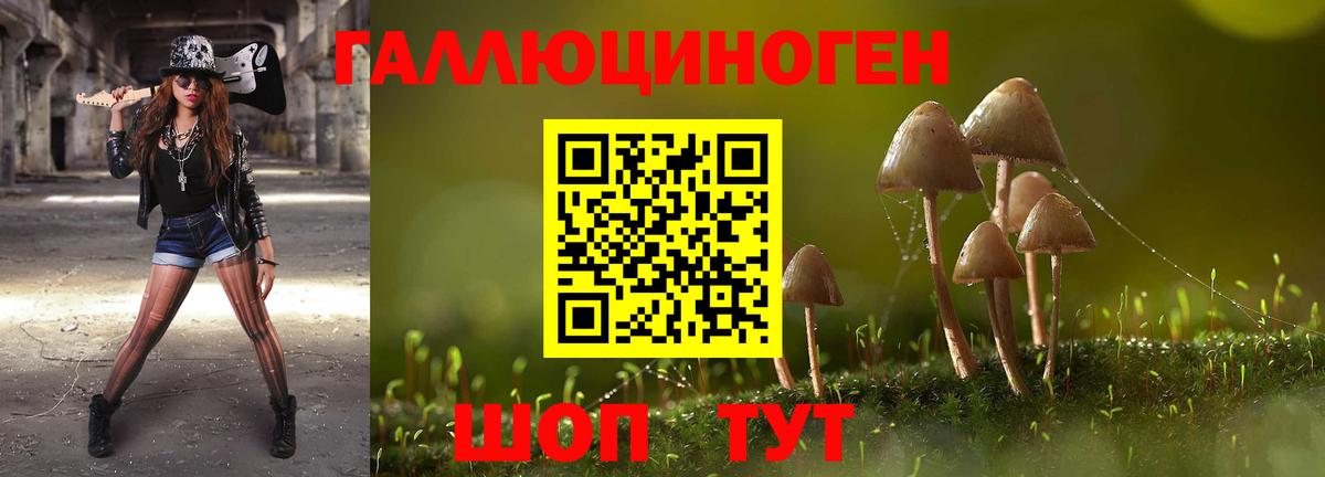 Псилоцибиновые грибы мухоморы Клинцы